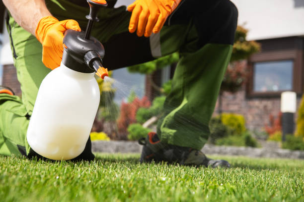 Trusted Quakertown, PA Pest Control Experts